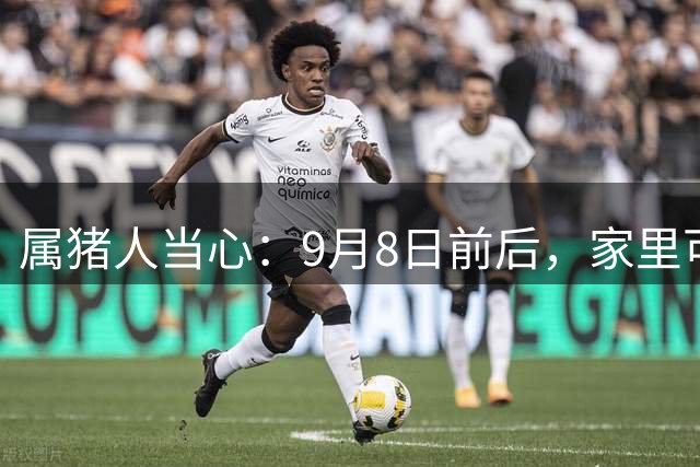 属猪人当心：9月8日前后，家里可能会“狂风卷乌云”